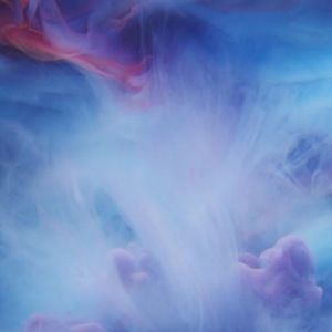 Meet your Posher, Allie